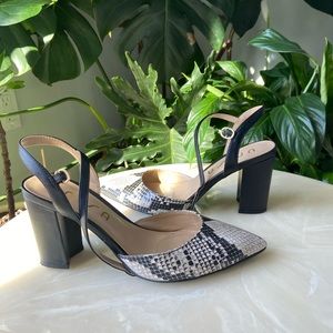 UNISA Meeyo Pointy Toe Chunky Heel Shoes in Snake sz8